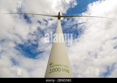 Whitelee Windfarm, Scozia, Regno Unito. 14 maggio 2020. Nella foto: Di proprietà di Scottish Power Renewables, Whitelee Wind Farm è la più grande azienda eolica a terra del Regno Unito con 215 turbine che generano una produzione totale di 539 megawatt di elettricità, sufficiente per alimentare appena meno di 300,000 abitazioni. Mentre il governo britannico e scozzese stanno pianificando una strategia di uscita per il blocco del coronavirus (COVID-19), la domanda di un maggiore utilizzo di energia deve essere equilibrata con le considerazioni e le responsabilità dei piani sul cambiamento climatico. Credit: Colin Fisher/Alamy Live News Foto Stock