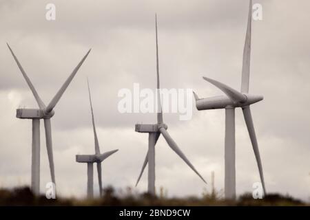 Whitelee Windfarm, Scozia, Regno Unito. 14 maggio 2020. Nella foto: Di proprietà di Scottish Power Renewables, Whitelee Wind Farm è la più grande azienda eolica a terra del Regno Unito con 215 turbine che generano una produzione totale di 539 megawatt di elettricità, sufficiente per alimentare appena meno di 300,000 abitazioni. Mentre il governo britannico e scozzese stanno pianificando una strategia di uscita per il blocco del coronavirus (COVID-19), la domanda di un maggiore utilizzo di energia deve essere equilibrata con le considerazioni e le responsabilità dei piani sul cambiamento climatico. Credit: Colin Fisher/Alamy Live News Foto Stock