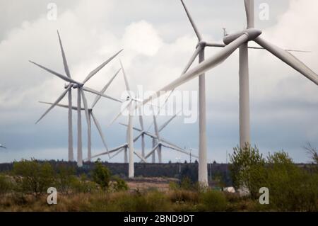 Whitelee Windfarm, Scozia, Regno Unito. 14 maggio 2020. Nella foto: Di proprietà di Scottish Power Renewables, Whitelee Wind Farm è la più grande azienda eolica a terra del Regno Unito con 215 turbine che generano una produzione totale di 539 megawatt di elettricità, sufficiente per alimentare appena meno di 300,000 abitazioni. Mentre il governo britannico e scozzese stanno pianificando una strategia di uscita per il blocco del coronavirus (COVID-19), la domanda di un maggiore utilizzo di energia deve essere equilibrata con le considerazioni e le responsabilità dei piani sul cambiamento climatico. Credit: Colin Fisher/Alamy Live News Foto Stock