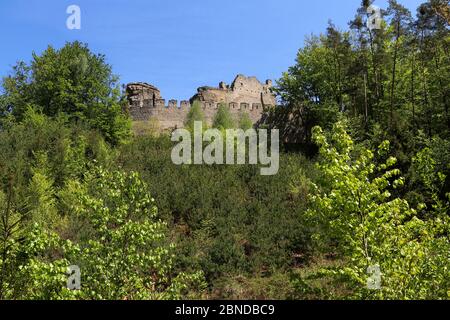 Helfenburk - rovine del castello del 14 ° secolo, Repubblica Ceca Foto Stock