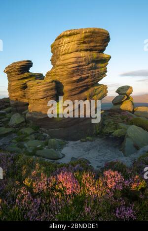 Il Crow pietre all alba, il Parco Nazionale di Peak District, Derbyshire, Regno Unito. Agosto 2015. Foto Stock