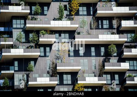 In una delle zone più nuove e più eleganti di Milano si trova questo grattacielo coperto di alberi. E' il famosissimo 'legno verticale' disegnato da Boeri. Foto Stock