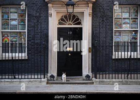 Larry il gatto di Downing Street si trova fuori dalla porta di 10 Downing Street, Londra, dopo l'annuncio dei piani per portare il paese fuori dalla serratura. Foto Stock