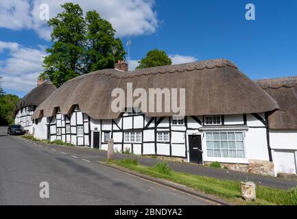 Fila di case in legno con tetto di paglia incorniciato nel Villaggio Hampshire di Wherwell, Test Valley, Hampshire, Inghilterra, Regno Unito. Foto Stock