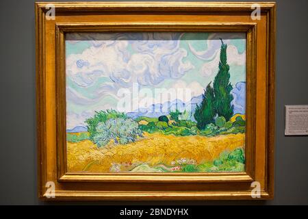 Un Wheatfield, con cipressi di Vincent van Gogh Foto Stock