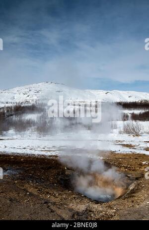 Piccolo sfiato geotermica al Geysir primavera calda area, a sud-ovest dell'Islanda, marzo 2015. Foto Stock