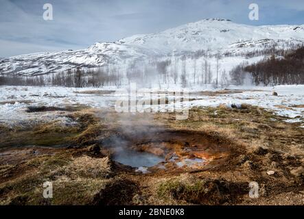 Piccolo sfiato geotermica, Geysir primavera calda area, a sud-ovest dell'Islanda, marzo 2015. Foto Stock