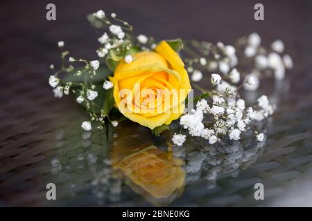 Bouquet di rose inglesi Foto Stock