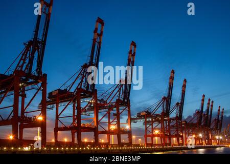 Le gru a container nel Waltershofer Hafen di Amburgo in serata Foto Stock