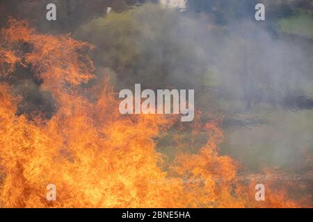 capanna di legno demolita messa in fuoco dopo la demolizione Foto Stock