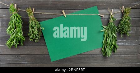 fragranti condimenti di erbe verdi, timo, rosmarino, rucola e coriandolo asciugati su una corda. su sfondo di legno scuro. mockup giallo. copia spazio Foto Stock