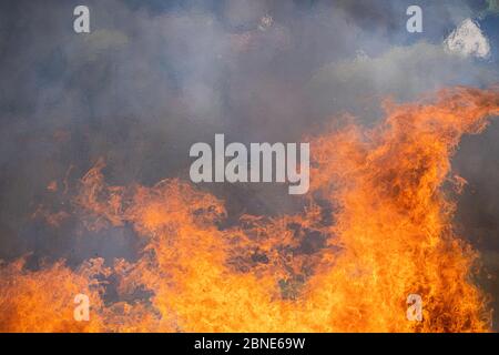 capanna di legno demolita messa in fuoco dopo la demolizione Foto Stock