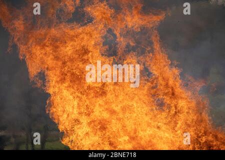 capanna di legno demolita messa in fuoco dopo la demolizione Foto Stock