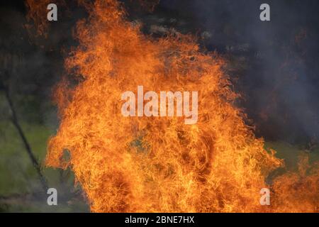 capanna di legno demolita messa in fuoco dopo la demolizione Foto Stock