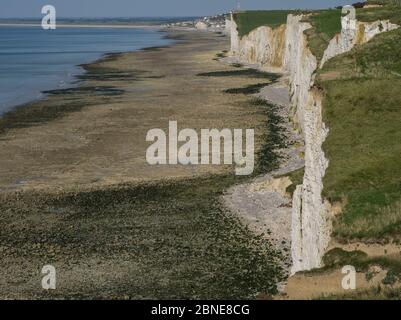 Scogliere e spiaggia tra Mers Les Bains e Ault, Somme Picardia, Francia, settembre 2015. Foto Stock