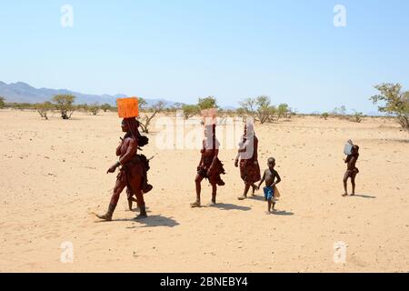 Donne e bambini di Himba che ritornano dal punto d'acqua, trasportando lattine di plastica piene d'acqua, durante la stagione secca, la valle di Marienfuss, il deserto di Kaokoland, Foto Stock