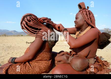 Le donne himba trecciatura reciprocamente i capelli. Marienfluss Valley. Kaokoland, Namibia Ottobre 2015 Foto Stock