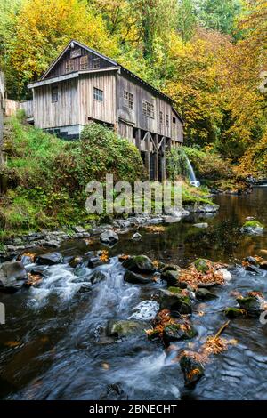 Cedar Creek Grist Mill vicino alla città di Woodland, Washington, Stati Uniti. Ottobre 2015. Foto Stock