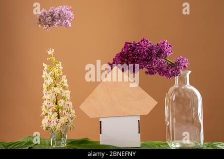 Composizione di fiori, casa di cartone tra due rami di fiori in fiore in bicchieri invece di alberi e un ramo in fiore sotto l'albero Foto Stock