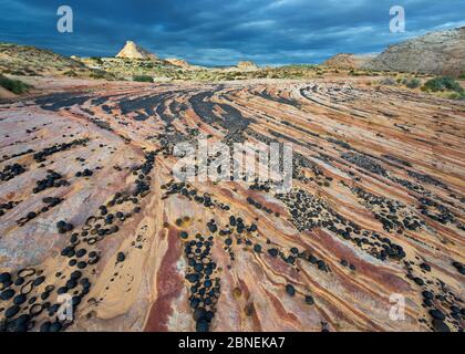 Marmi Moqui adornano un altopiano di arenaria a Escalante National Monument, Utah, Stati Uniti d'America, Ottobre Foto Stock