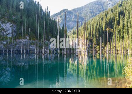 Lago Kaindy - lago di montagna in Kazakistan Foto Stock