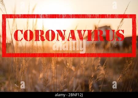 Segno rosso del francobollo del coronavirus e erba secca in campo con la casa di fattoria del villaggio sullo sfondo Foto Stock