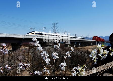 Una vista di un treno di Fuxing Hao, noto anche come la serie CR EMU, che corre sul ponte del serbatoio di Guanting della ferrovia Pechino-Hohhot, contea di Huailai, Foto Stock