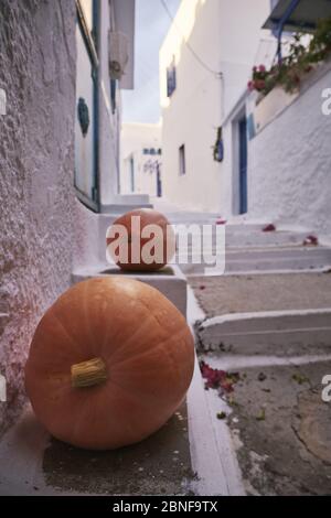 Colpo verticale di zucche per le strade di Aegiali nell'isola di Amorgos, Grecia Foto Stock