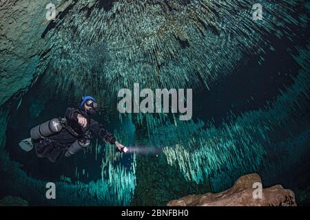 Un subacqueo in un cenote a Quintana Roo, Messico. Foto Stock