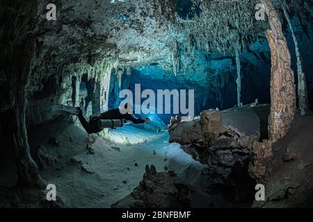 Un subacqueo in un cenote a Quintana Roo, Messico. Foto Stock