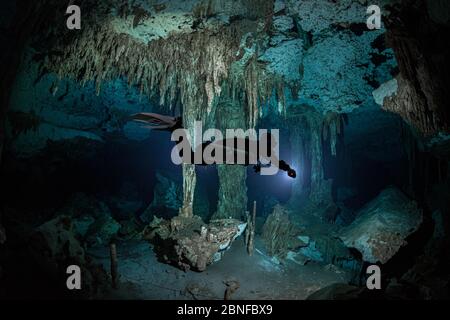 Un subacqueo in un cenote a Quintana Roo, Messico. Foto Stock