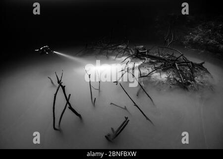 Un subacqueo in un cenote a Quintana Roo, Messico. Foto Stock