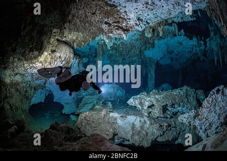 Un subacqueo in un cenote a Quintana Roo, Messico. Foto Stock