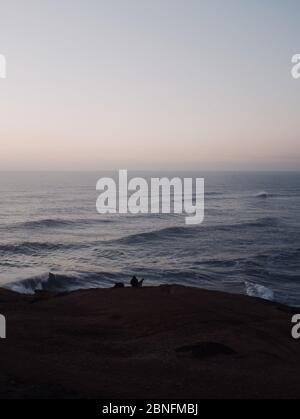 Colpo verticale di una persona con un cane che guarda il tramonto seduto sulla spiaggia Foto Stock