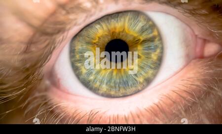 Occhio verde maschile molto vicino con un tocco di giallo arancio blu colori all'interno sull'iride e pupilla macro colpo ciglia. Riprese macro ravvicinate Foto Stock
