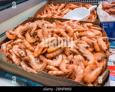 Primo piano di gamberi surgelati in una vetrina refrigerata del supermercato. Pesce fresco non cucinato. Gamberetti rosa nel congelatore del mercato dei pescatori negozio Foto Stock