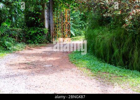 Weg zum Briefgarden in Bentota auf Sri Lanka Foto Stock