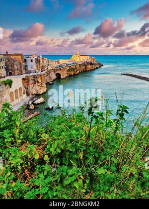 Vista panoramica della cittadina di Vieste in estate in Puglia Sud Italia paesaggio urbano della città costiera di Vieste nel Parco Nazionale del Gargano, Italia, Europa Foto Stock