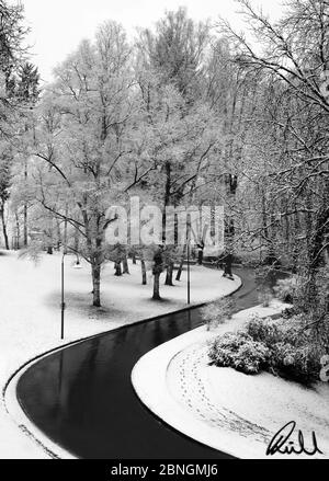 Immagine verticale in scala di grigi di una strada a zigzag nella foresta coperto di neve Foto Stock