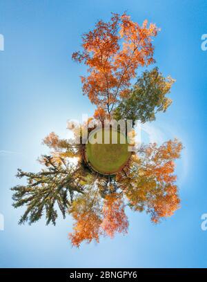 Piccolo pianeta - globo della foresta d'autunno Foto Stock