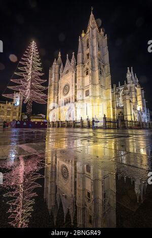 Leon Cattedrale gotica notte piovosa riflessi in acqua, albero di natale e luci, Castilla Leon Spagna Foto Stock