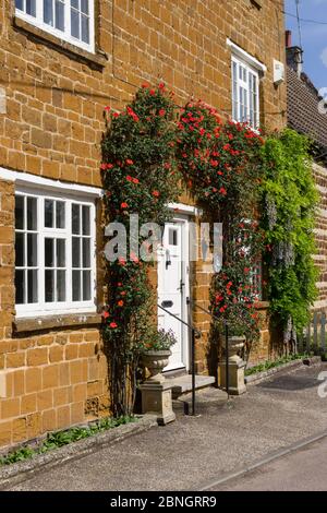 Facciata di un cottage in pietra con rose che crescono intorno alla porta nel villaggio di Little Houghton, Northamptonshire, Regno Unito Foto Stock