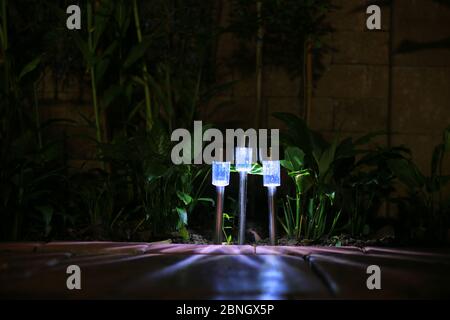 Illuminazione lampada LED da giardino. Piccola illuminazione solare che splende in un giardino e getta ombra in più direzioni. Temperatura di luce fredda per hi tech moderno Foto Stock