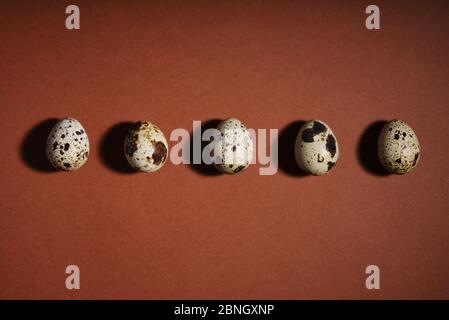 Layout creativo uovo quaglia su sfondo marrone. Modello di uova di quaglia. Buon concetto di pasqua. Design minimo. Spazio di copia, piatto, dall'alto Foto Stock