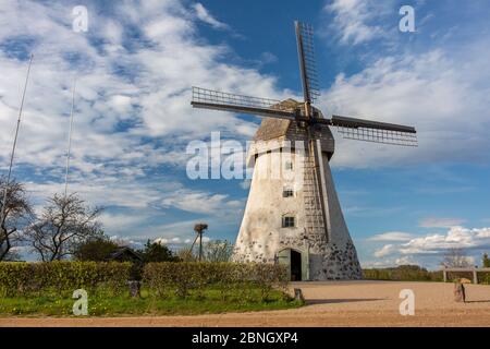 CIT Araisi, Lettonia. Antico mulino a vento storico e natura.1405.2020 Foto Stock