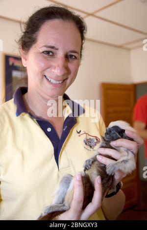 Anne Savage, direttore del progetto / Proyecto Titi che tiene tamarina selvatica Cotton-top (Saguinus oedipus) prima che sia esame di salute, Colombia, febbraio Foto Stock