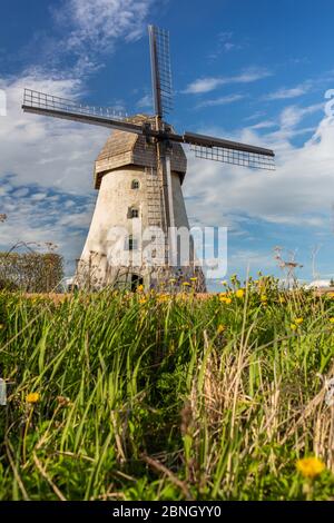 CIT Araisi, Lettonia. Antico mulino a vento storico e natura.1405.2020 Foto Stock