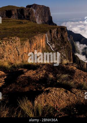 tugela cade dalla cima dell'anfiteatro, drakensberg, kwazulu natal Foto Stock