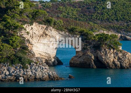 Costa mozzafiato e scogliere vicino Vieste, Italia Foto Stock