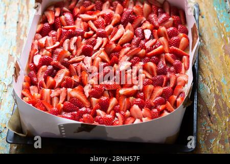 Preparare la torta di cagliata al limone con le fragole Foto Stock